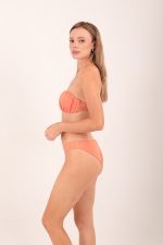 BOTTOM BRAZILIAN CORAL - Image 2