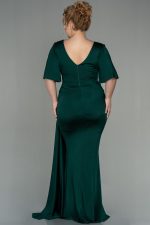 LOUELLA PLUS SIZE DRESS BY AMINA MURR GREEN - Image 2